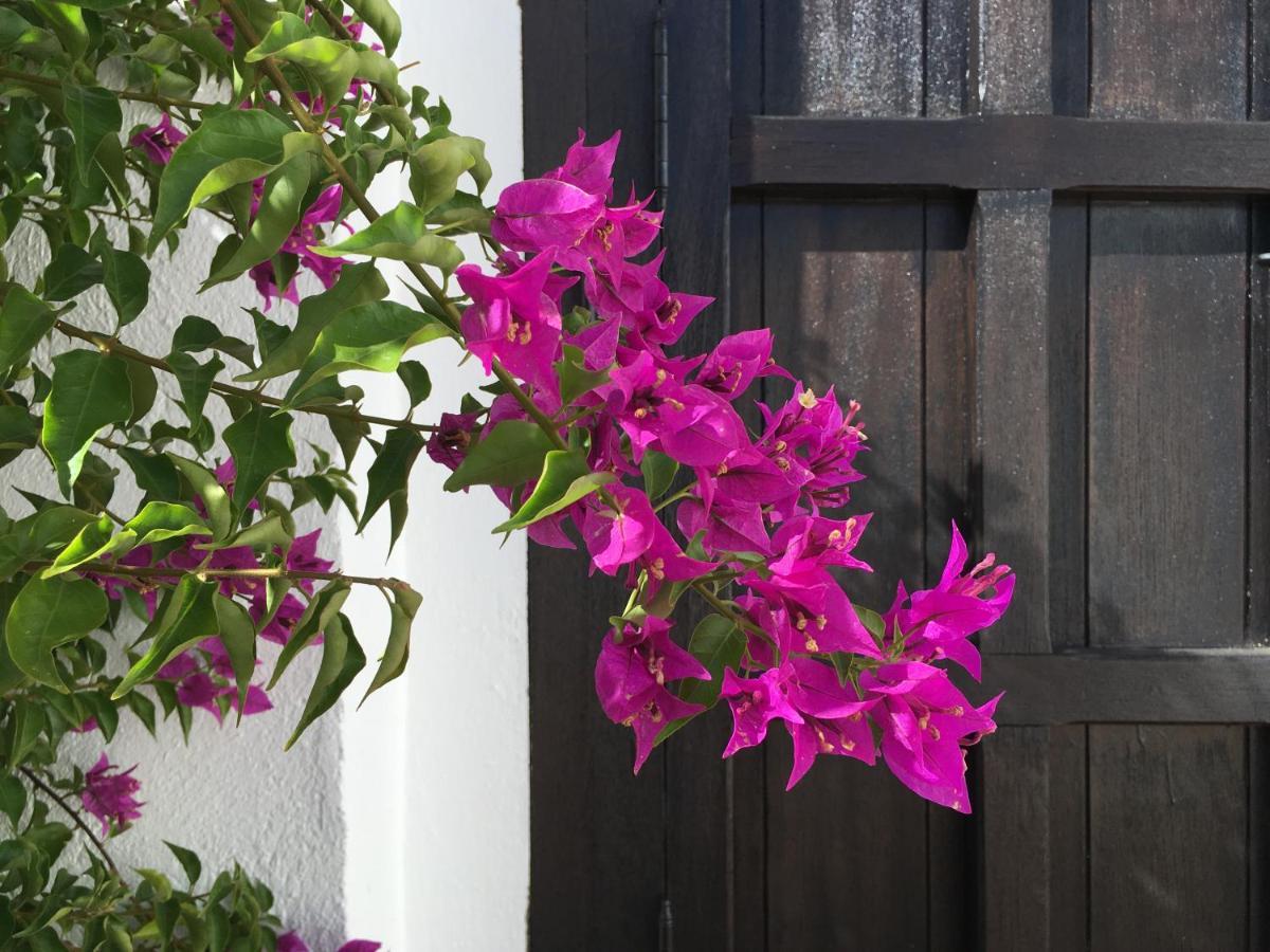 Villa De La Luz Luxury Guesthouse El Portil Eksteriør billede